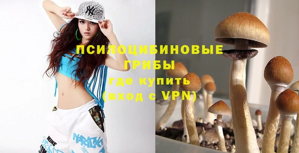 индика Горняк