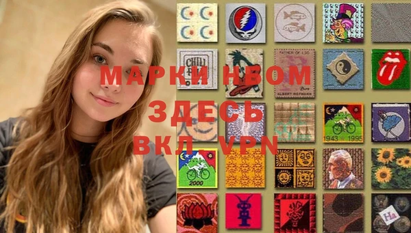 индика Горняк