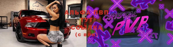 индика Горняк