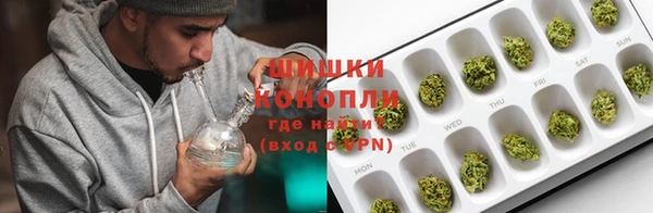 индика Горняк