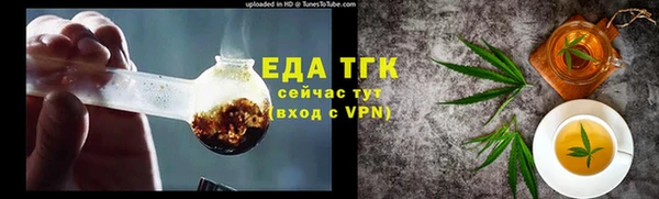 индика Горняк