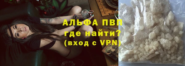 индика Горняк