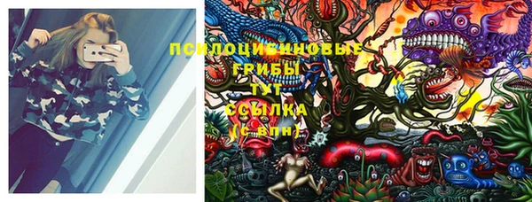 индика Горняк