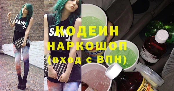 индика Горняк