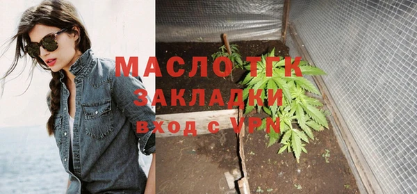 индика Горняк