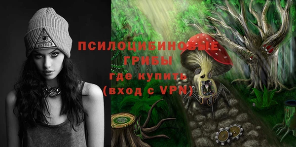 индика Горняк