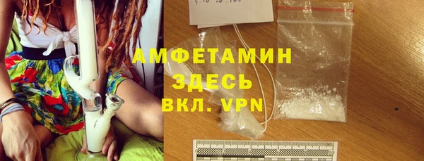 индика Горняк